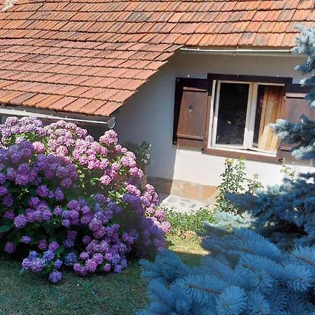 Apartman Nebojša 鲁德尼克 外观 照片