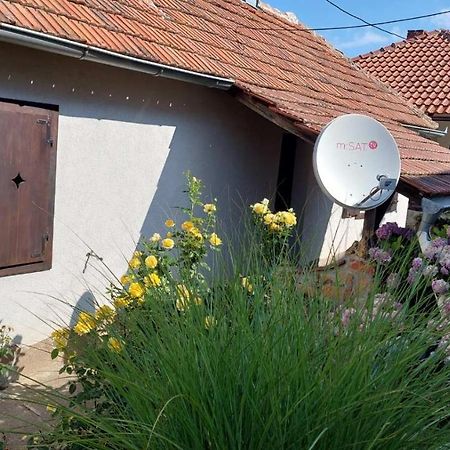 Apartman Nebojša 鲁德尼克 外观 照片