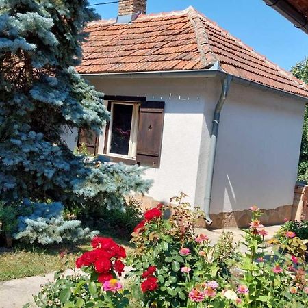 Apartman Nebojša 鲁德尼克 外观 照片