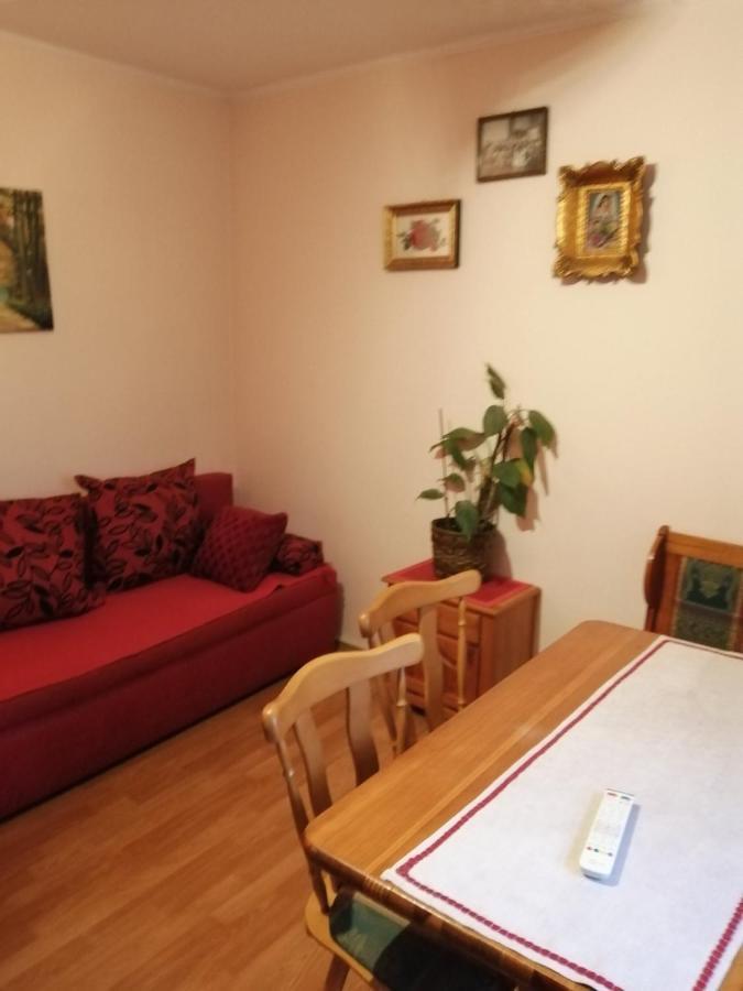 Apartman Nebojša 鲁德尼克 外观 照片