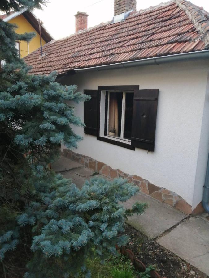 Apartman Nebojša 鲁德尼克 外观 照片