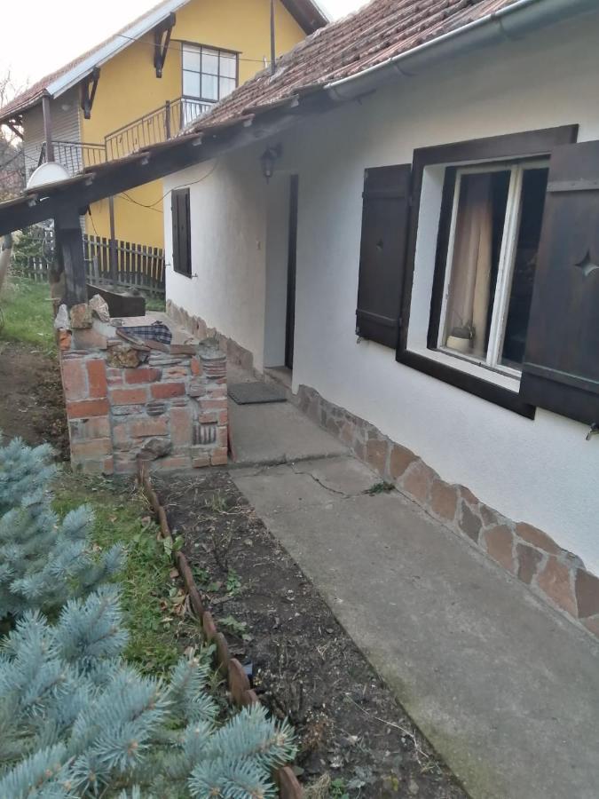 Apartman Nebojša 鲁德尼克 外观 照片