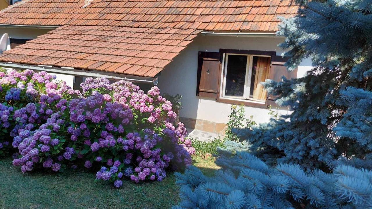 Apartman Nebojša 鲁德尼克 外观 照片