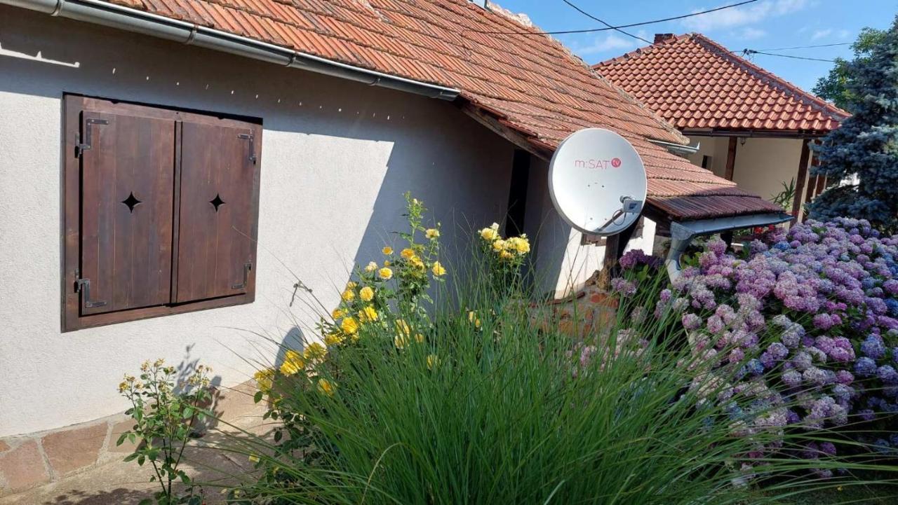 Apartman Nebojša 鲁德尼克 外观 照片