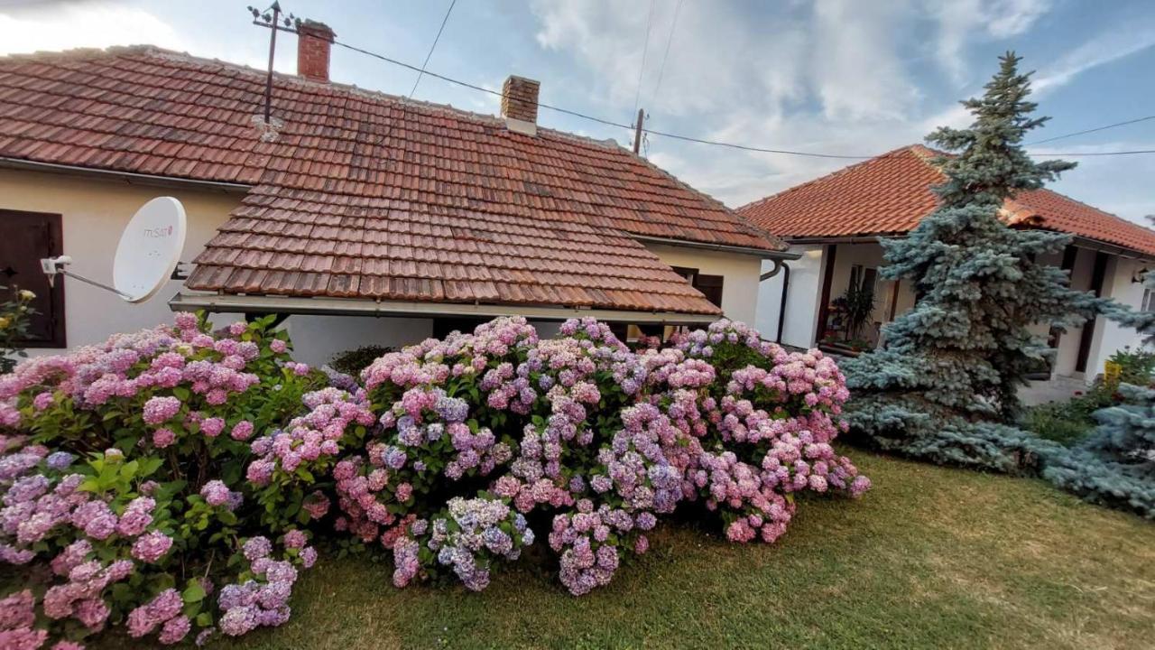 Apartman Nebojša 鲁德尼克 外观 照片