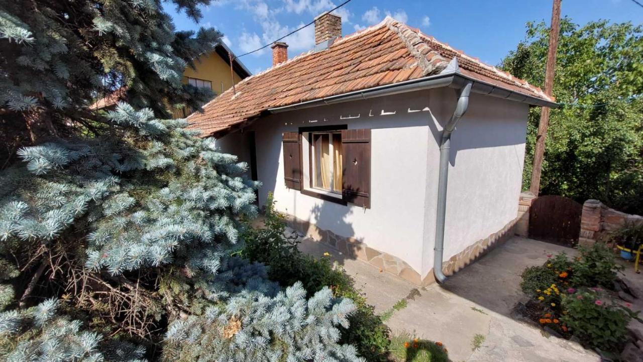 Apartman Nebojša 鲁德尼克 外观 照片