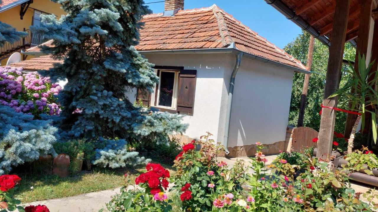 Apartman Nebojša 鲁德尼克 外观 照片