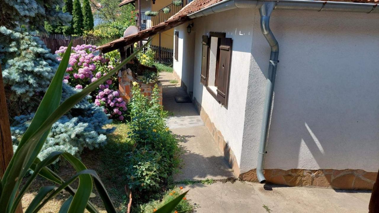 Apartman Nebojša 鲁德尼克 外观 照片