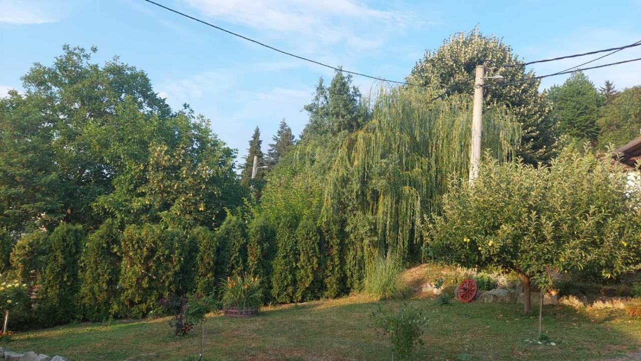 Apartman Nebojša 鲁德尼克 外观 照片