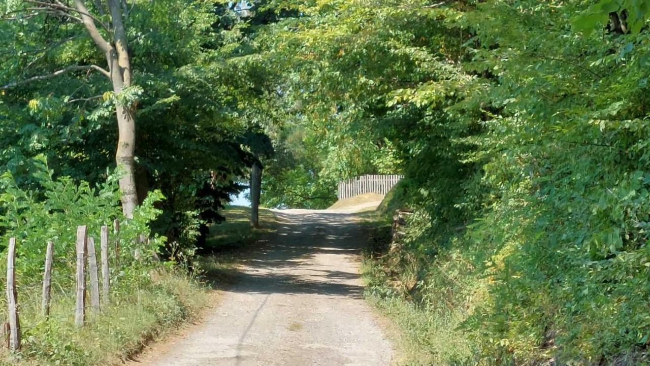 Apartman Nebojša 鲁德尼克 外观 照片