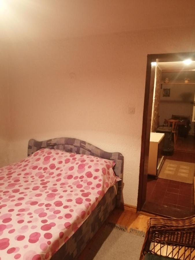 Apartman Nebojša 鲁德尼克 外观 照片