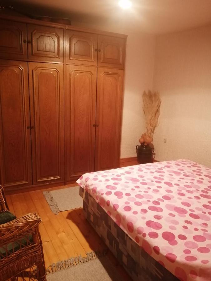 Apartman Nebojša 鲁德尼克 外观 照片